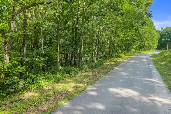 0 Coxburg Rd N, Holladay, TN 38341