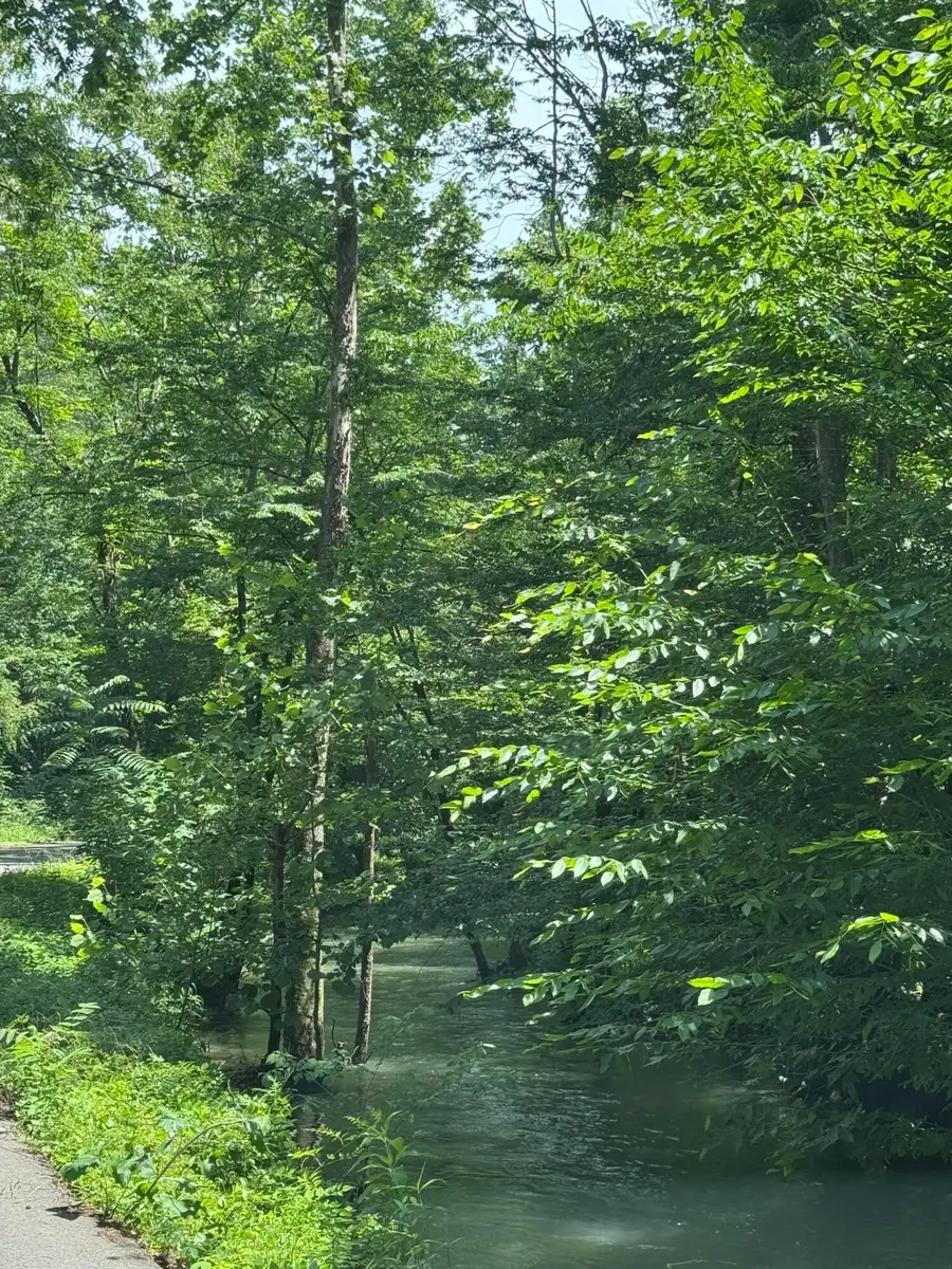 2784 Fiery Gizzard Road, South Pittsburg, TN 37380 - #3