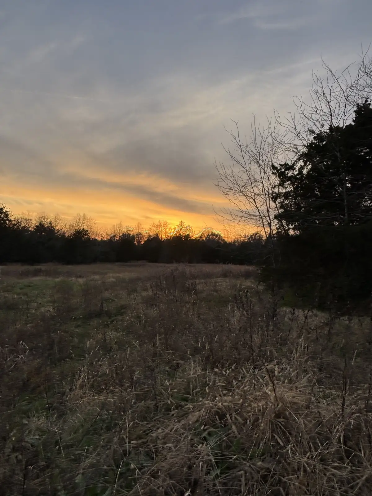 0 Laws Hill Road, Lewisburg, TN 37091 - #1