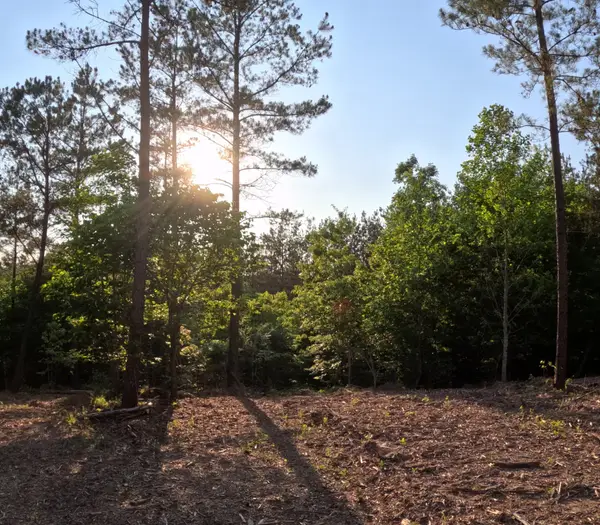 1882 Hillbrook Dr, Linden, TN 37096