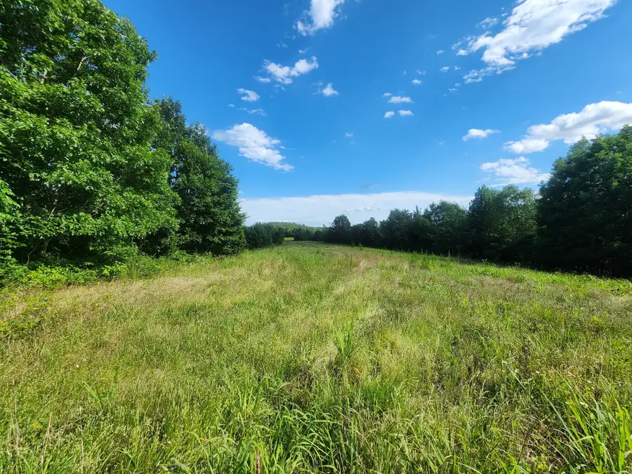 0 Sinking Creek Rd, Linden, TN 37096 - #3