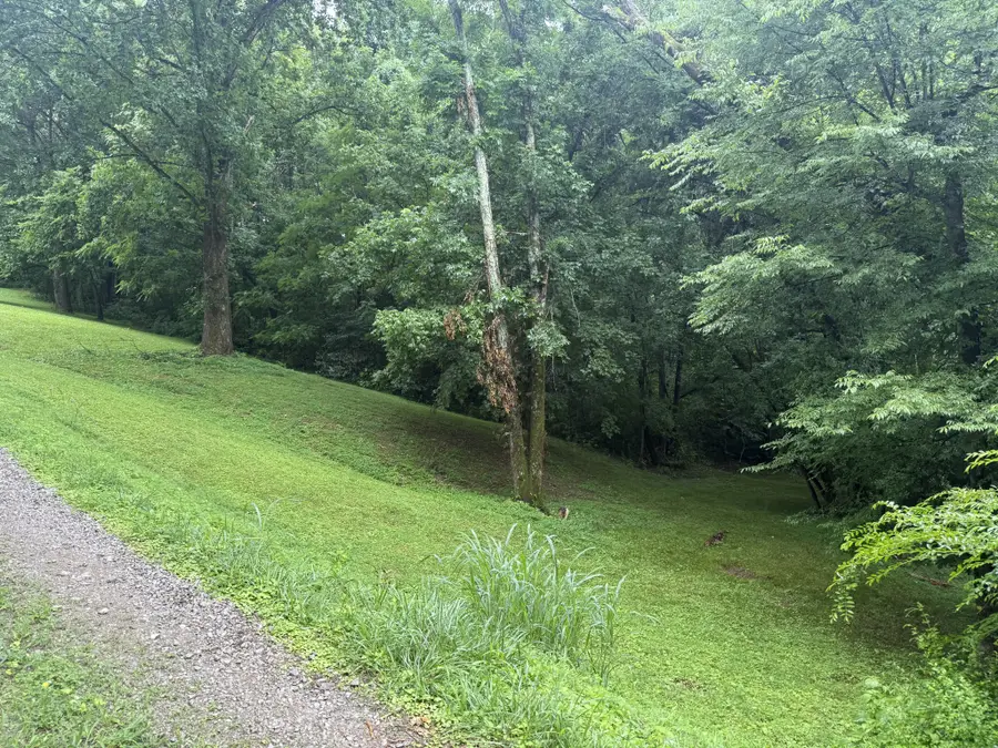 6437 Peytonsville Arno Rd, College Grove, TN 37046 - #3