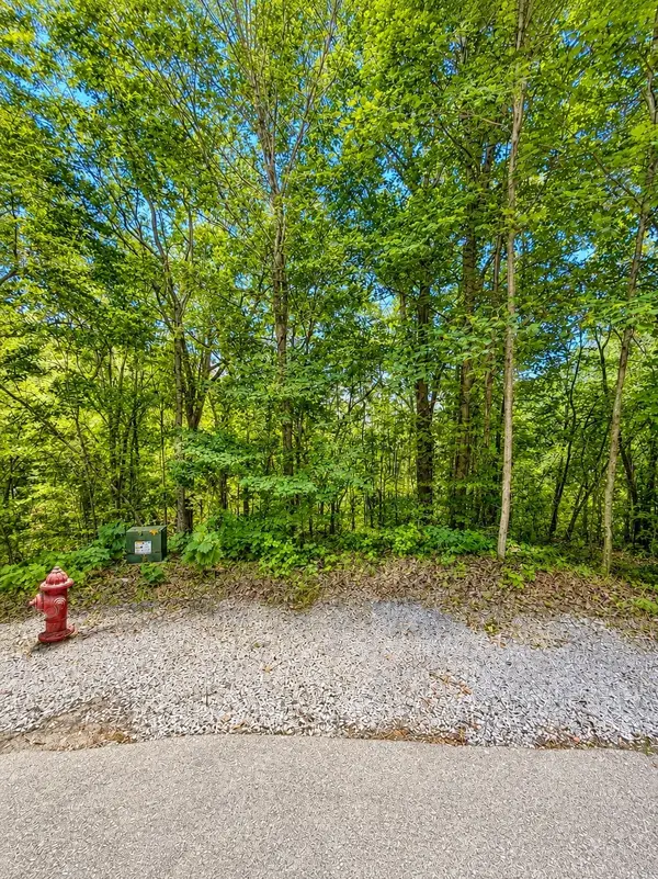 0 Woodcrest Dr, Smithville, TN 37166