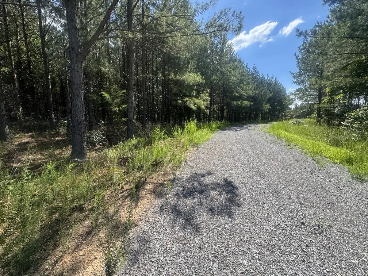 0 Rustic Pines Rd, Dover, TN 37058 - #1