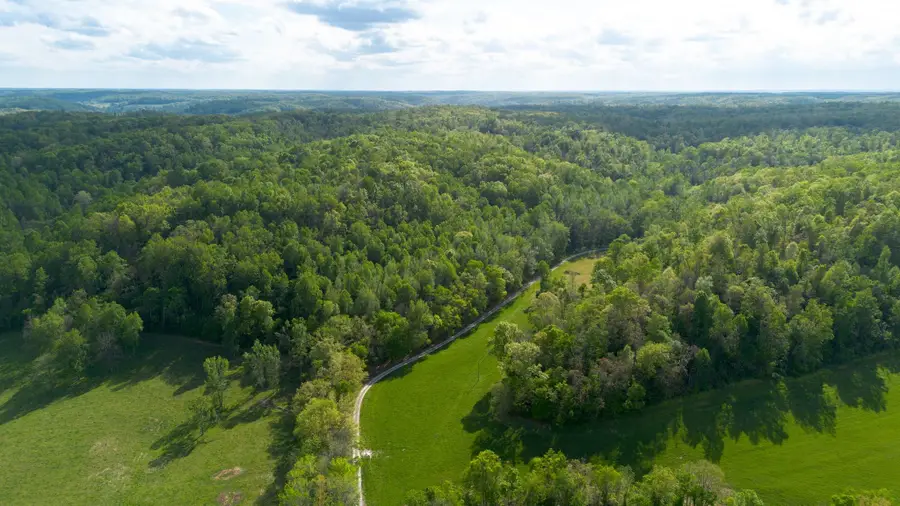 4805 Love Branch Rd, Hampshire, TN 38461 - #3