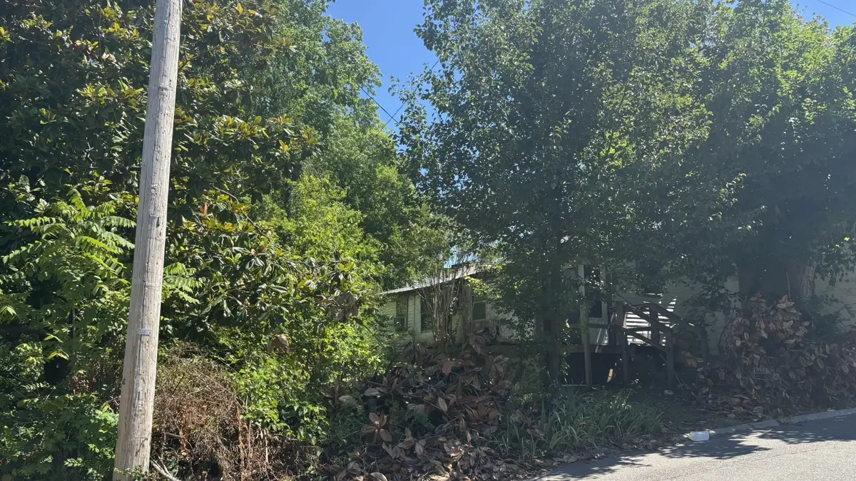 2089 Leota St, Springfield, TN 37172 - #1