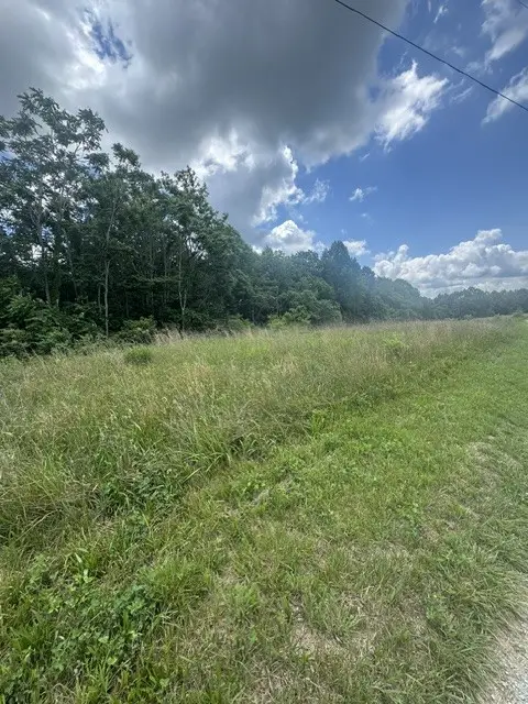 0 East Fork Ln, Crawford, TN 38554 - #2