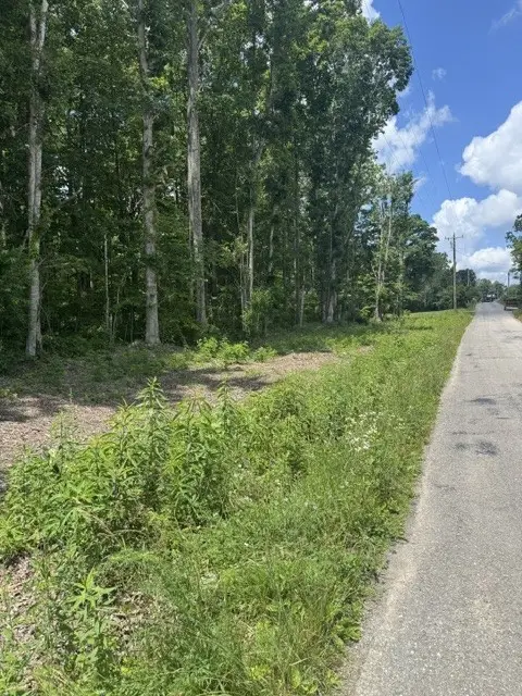 0 East Fork Ln, Crawford, TN 38554 - #3