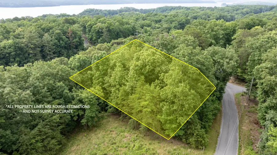 165 Maple Drive, Spring City, TN 37381 - #2