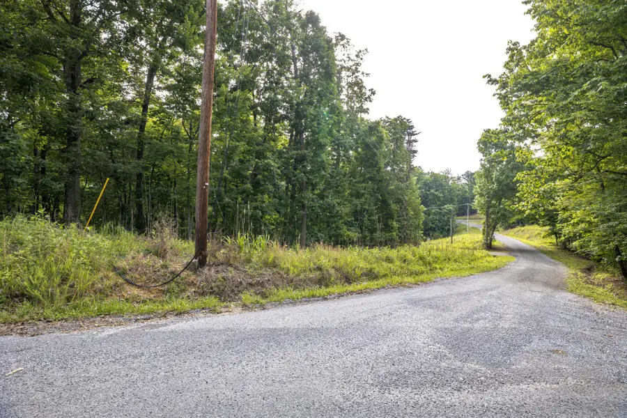 165 Maple Drive, Spring City, TN 37381 - #3