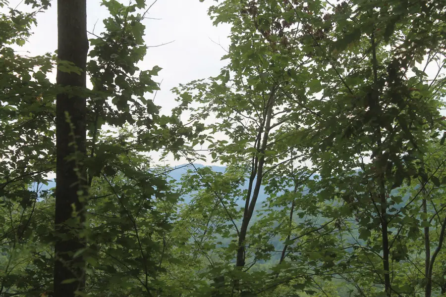 3 Straight Fork Road, Huntsville, TN 37756 - #2