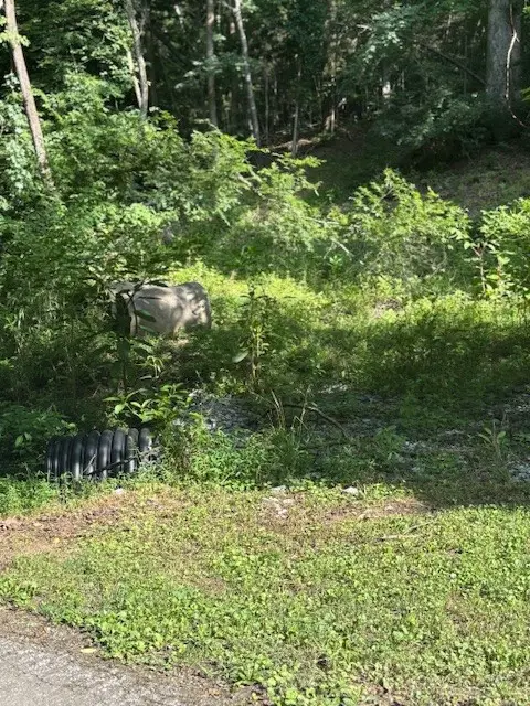 0 Seymour Hollow Road, Whites Creek, TN 37189