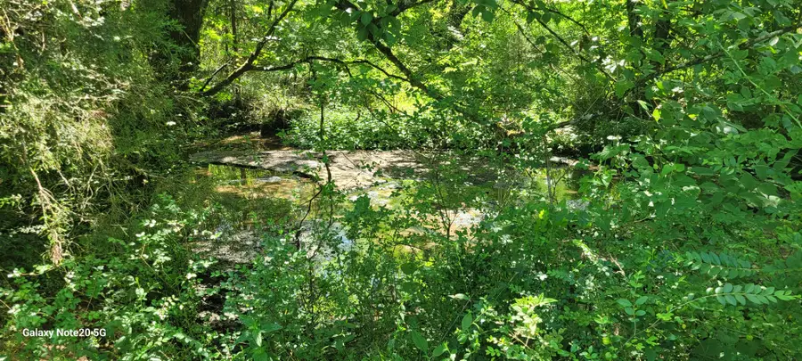1 Manire Rd, Chapel Hill, TN 37034 - #3