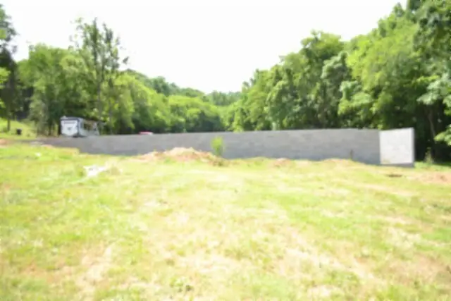425 Baugh Hollow Ln, Gainesboro, TN 38562 - #1