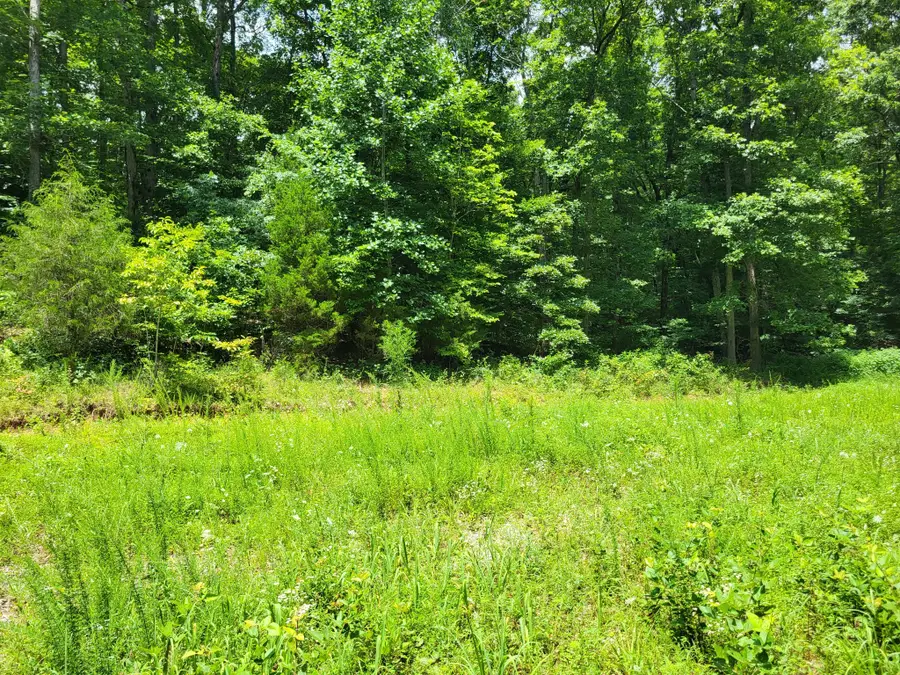 0 Mt Carmel Rd, Mosheim, TN 37818 - #2