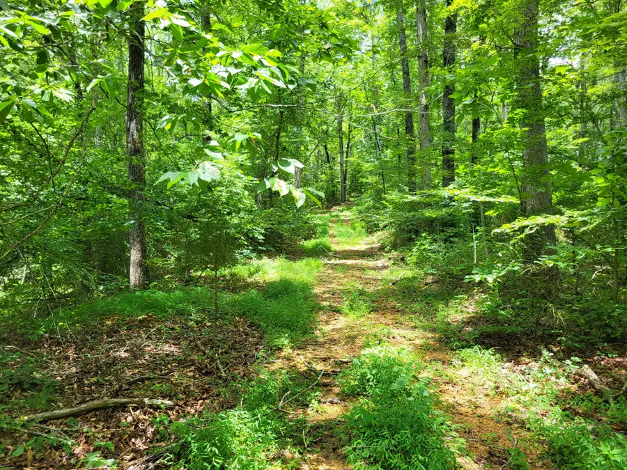 0 Mt Carmel Rd, Mosheim, TN 37818 - #3