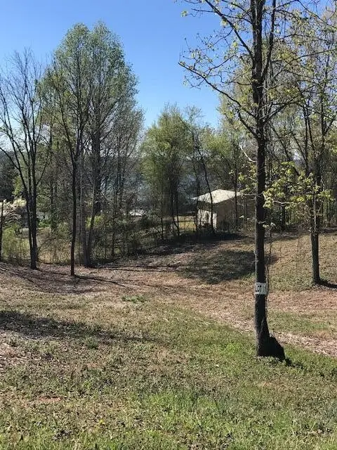 11 Piney View Drive, Spring City, TN 37381 - #1