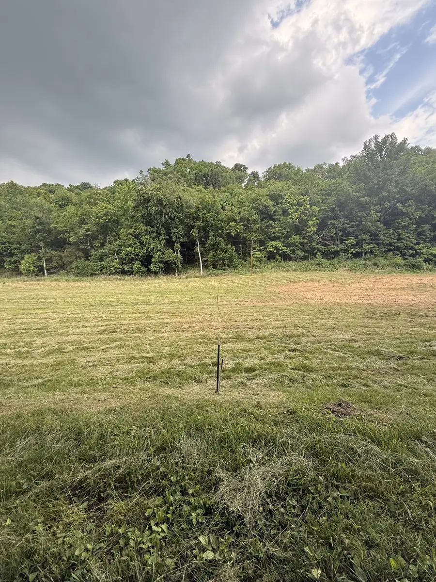 0 Hurricane Branch Lane, Gainesboro, TN 38562 - #2