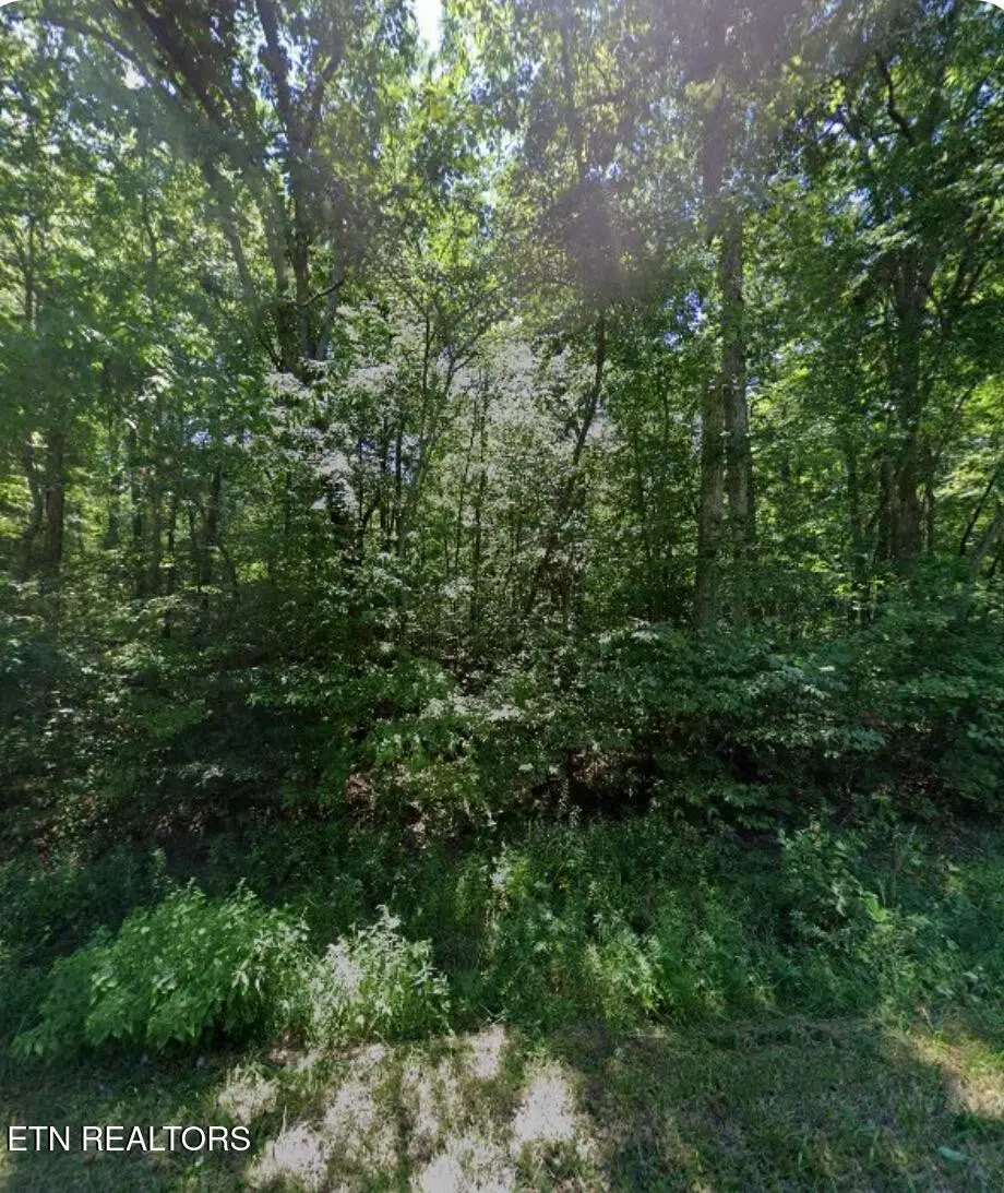 6115 Pocahontas Lane, Crossville, TN 38572 - #1