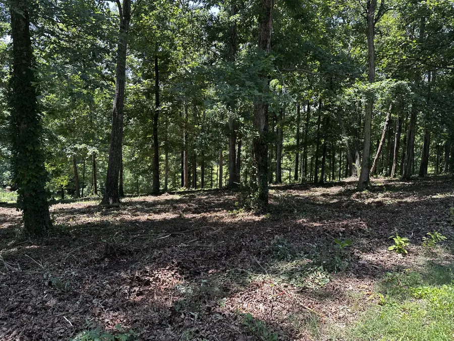196 Fairway Circle, Loretto, TN 38469 - #3