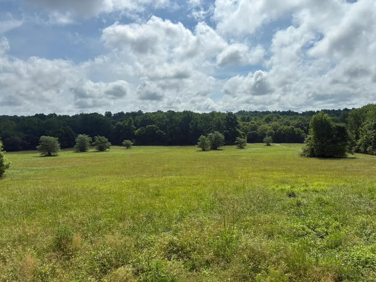 8033 Roberson Cemetery Rd, Iron City, TN 38463 - #1