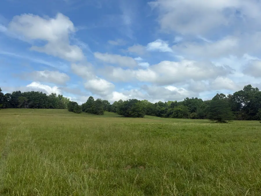 8033 Roberson Cemetery Rd, Iron City, TN 38463 - #3