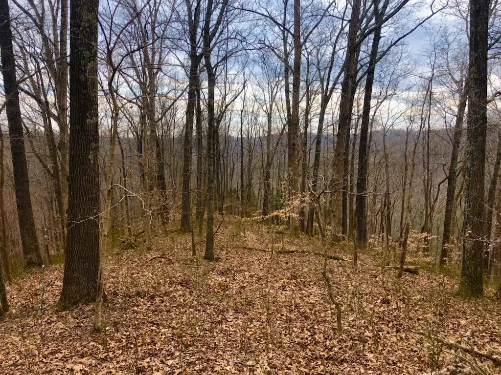 0 Simpkins Rd, Whites Creek, TN 37189 - #1