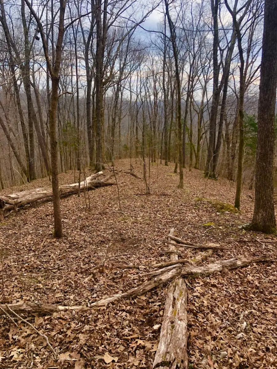 0 Simpkins Rd, Whites Creek, TN 37189 - #2