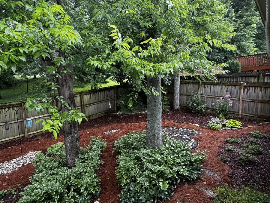 113 Brian Cir, Antioch, TN 37013 - #3