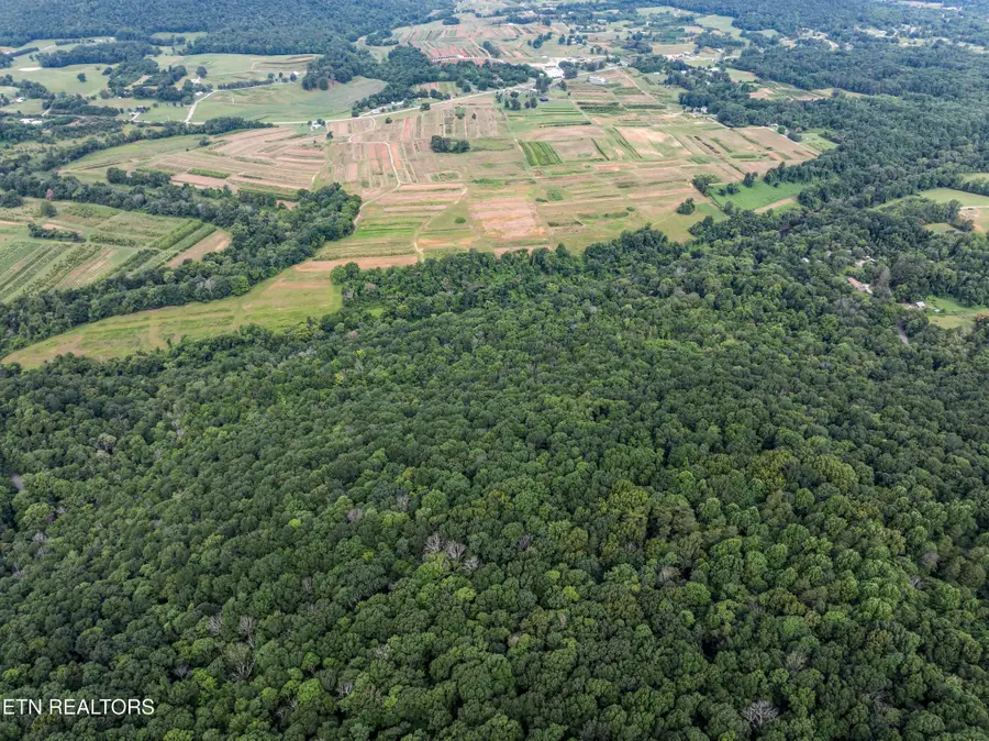 0 Turners Bend Rd, McMinnville, TN 37110 - #3