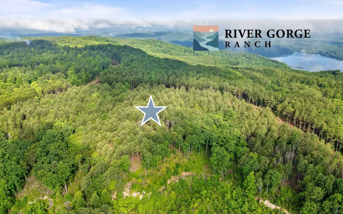 2142 Top Shelf Street, Guild, TN 37340 - #1