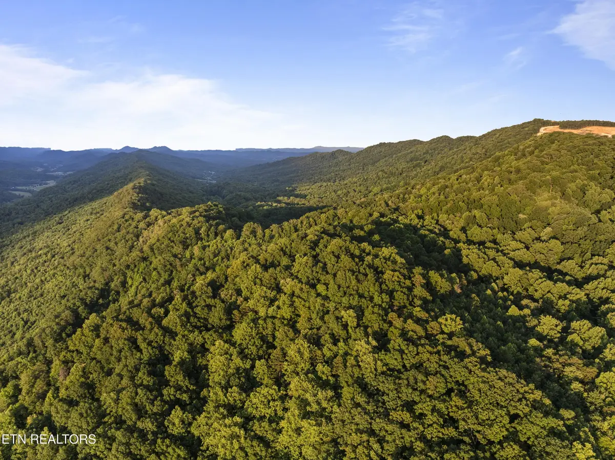 0 Spruce Pine (330 Acres) Rd, Mooresburg, TN 37811 - #1