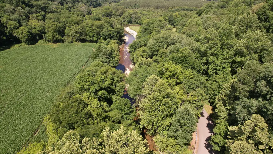 520 Bluff Rd, Loretto, TN 38469 - #3