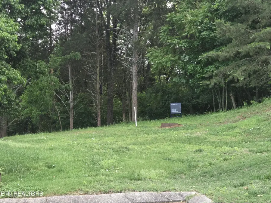 2417 Riverview Rd, Lenoir City, TN 37771 - #2