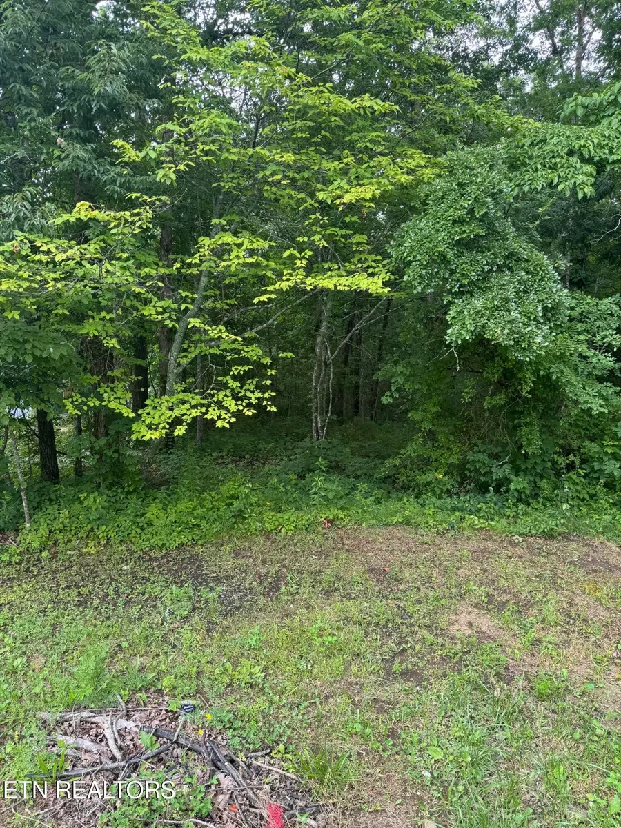 0 Timothy Drive, Crossville, TN 38572 - #2