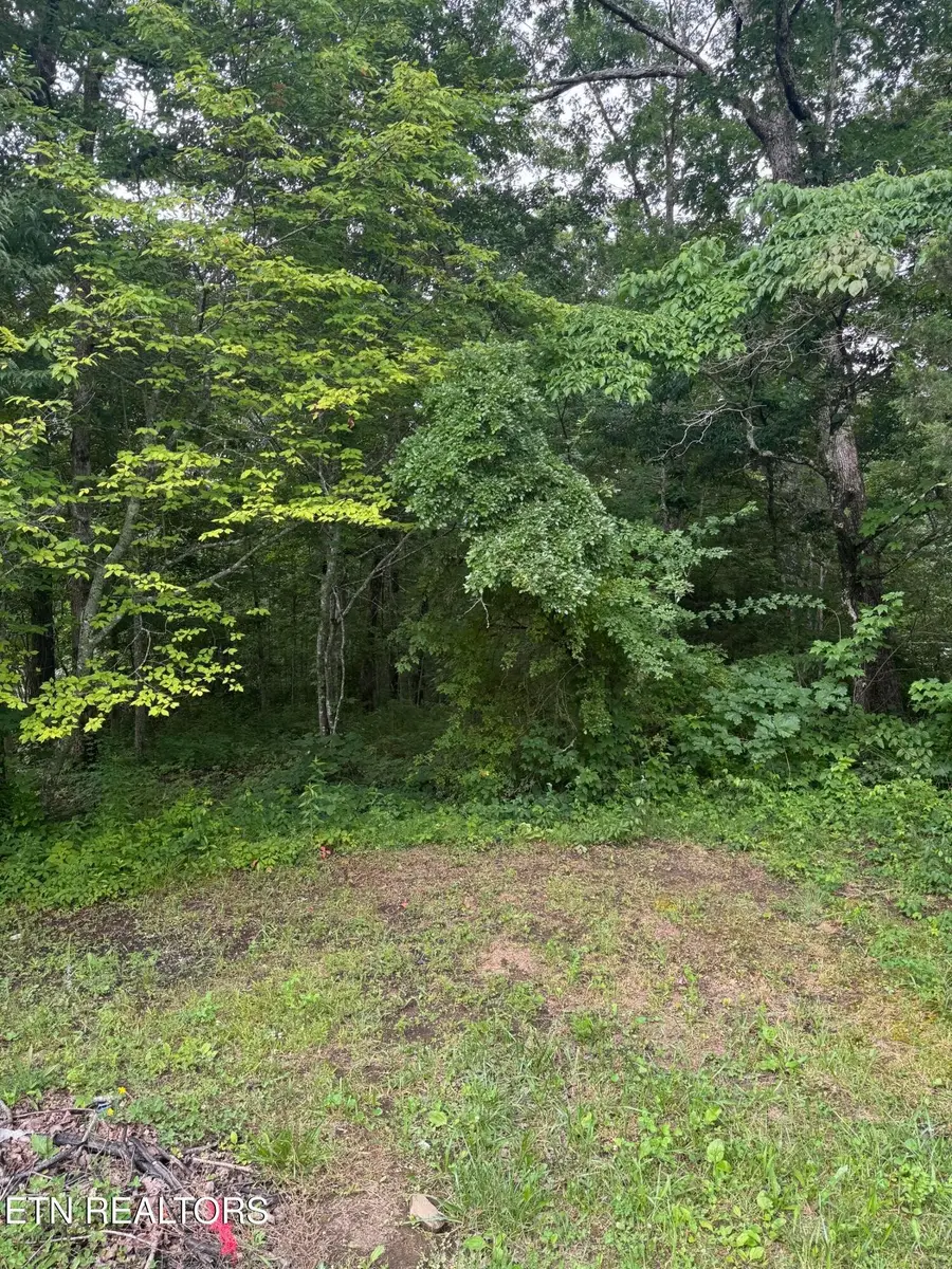 0 Timothy Drive, Crossville, TN 38572 - #3