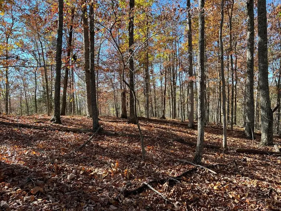 0 Old Hwy 53, Celina, TN 38551 - #3