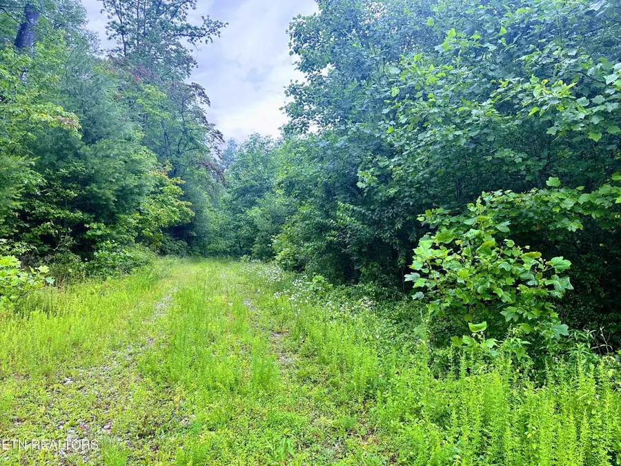 1344 Chestnut Ridge Rd, Allardt, TN 38504 - #3