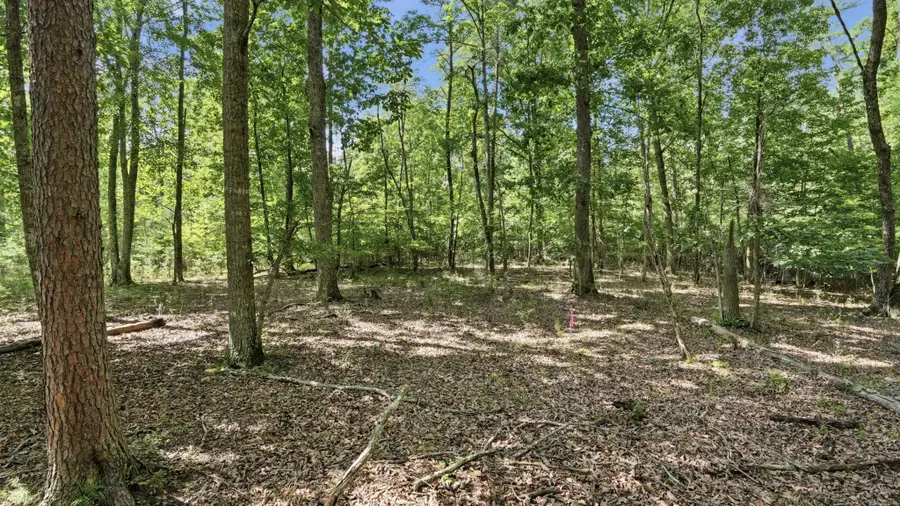 0 Eagle Crest Circle, Monteagle, TN 37356 - #2