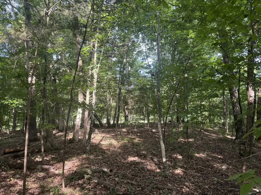 0 Rivy Way, Lewisburg, TN 37091 - #2