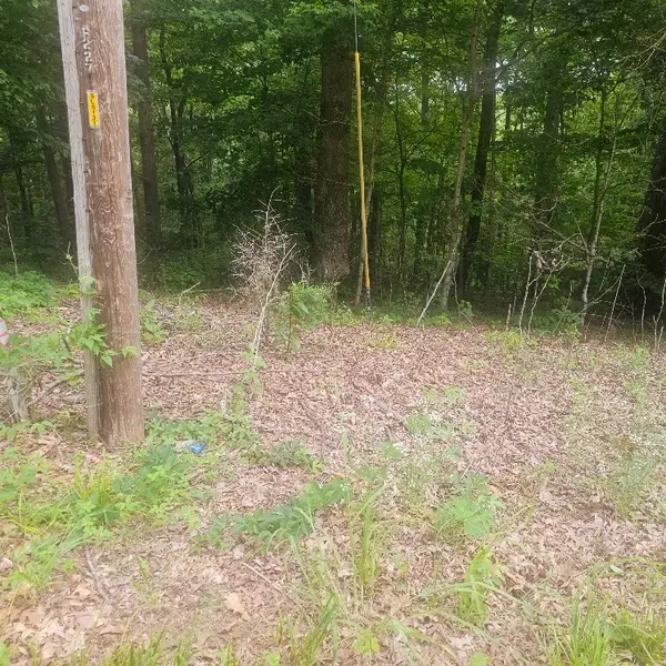 0 Scenic Drive, Dickson, TN 37055