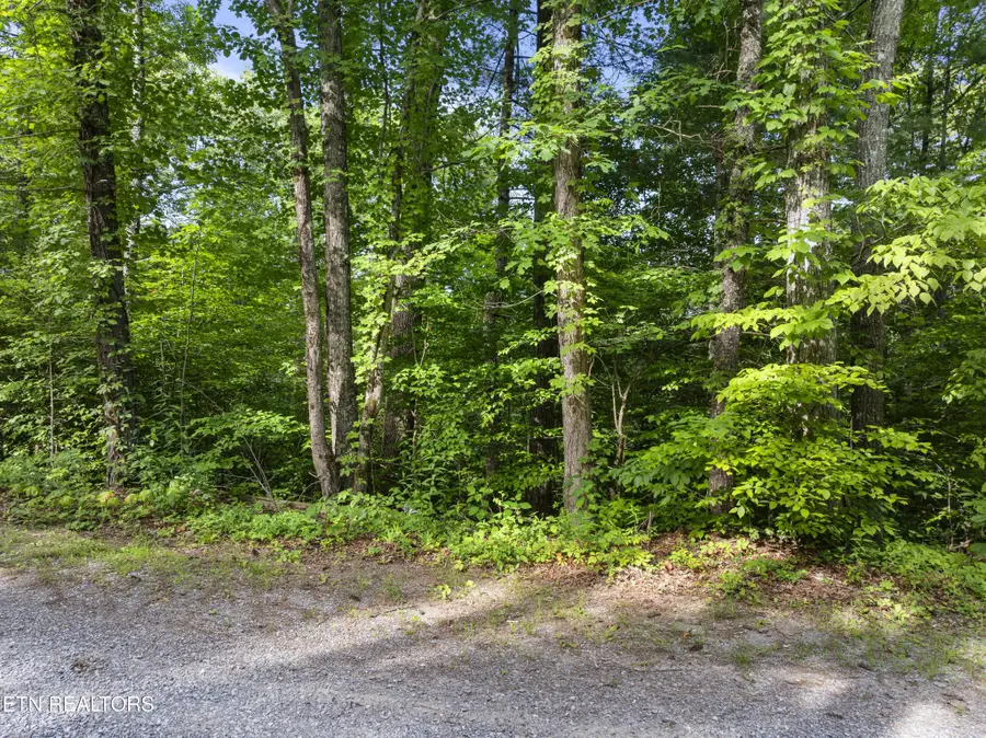 0 Grouse Top (lot 4) Rd, Walland, TN 37886 - #3