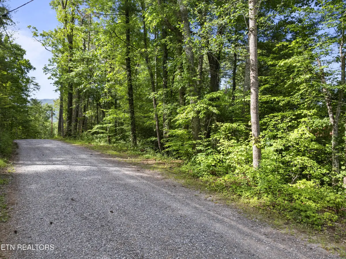 0 Grouse Top (lot 3) Rd, Walland, TN 37886 - #1