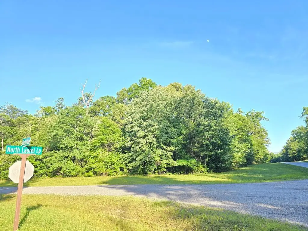 0 Laurel Loop N, Monterey, TN 38574 - #1