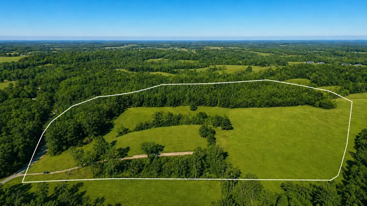 5221 County Road 50, Lexington, AL 35648 - #1
