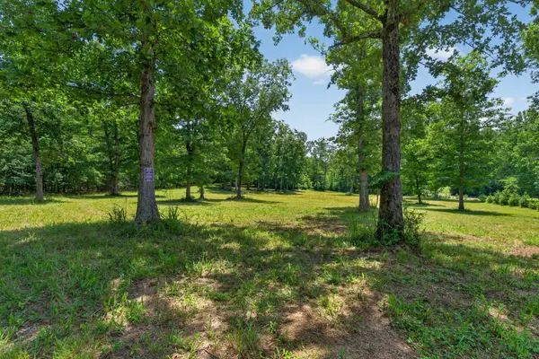 0 Monteagle Falls Rd, Monteagle, TN 37356