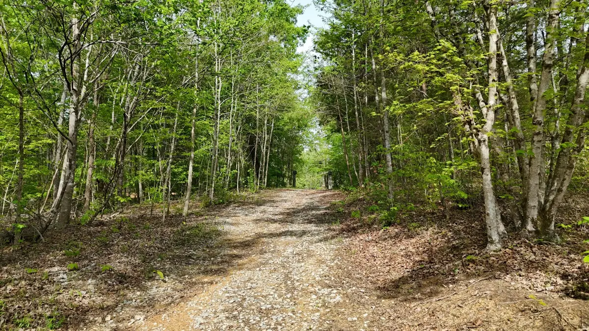 311 Old York Road, Cleveland, TN 37323 - #1