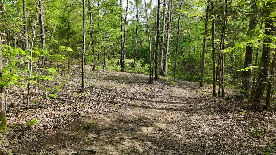311 Old York Road, Cleveland, TN 37323 - #3