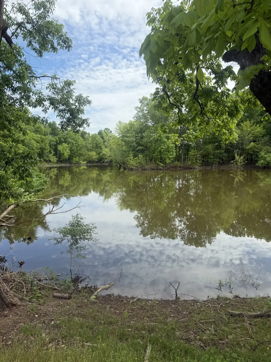 298 Duck Blind Rd, Clifton, TN 38425 - #3