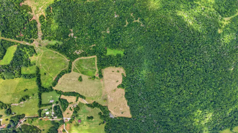 0 Pete Alsup Rd, Lascassas, TN 37085 - #3